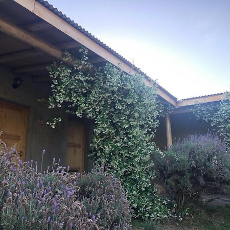 Tikaykilla Lodge & Wines Maipu  Bagian luar foto