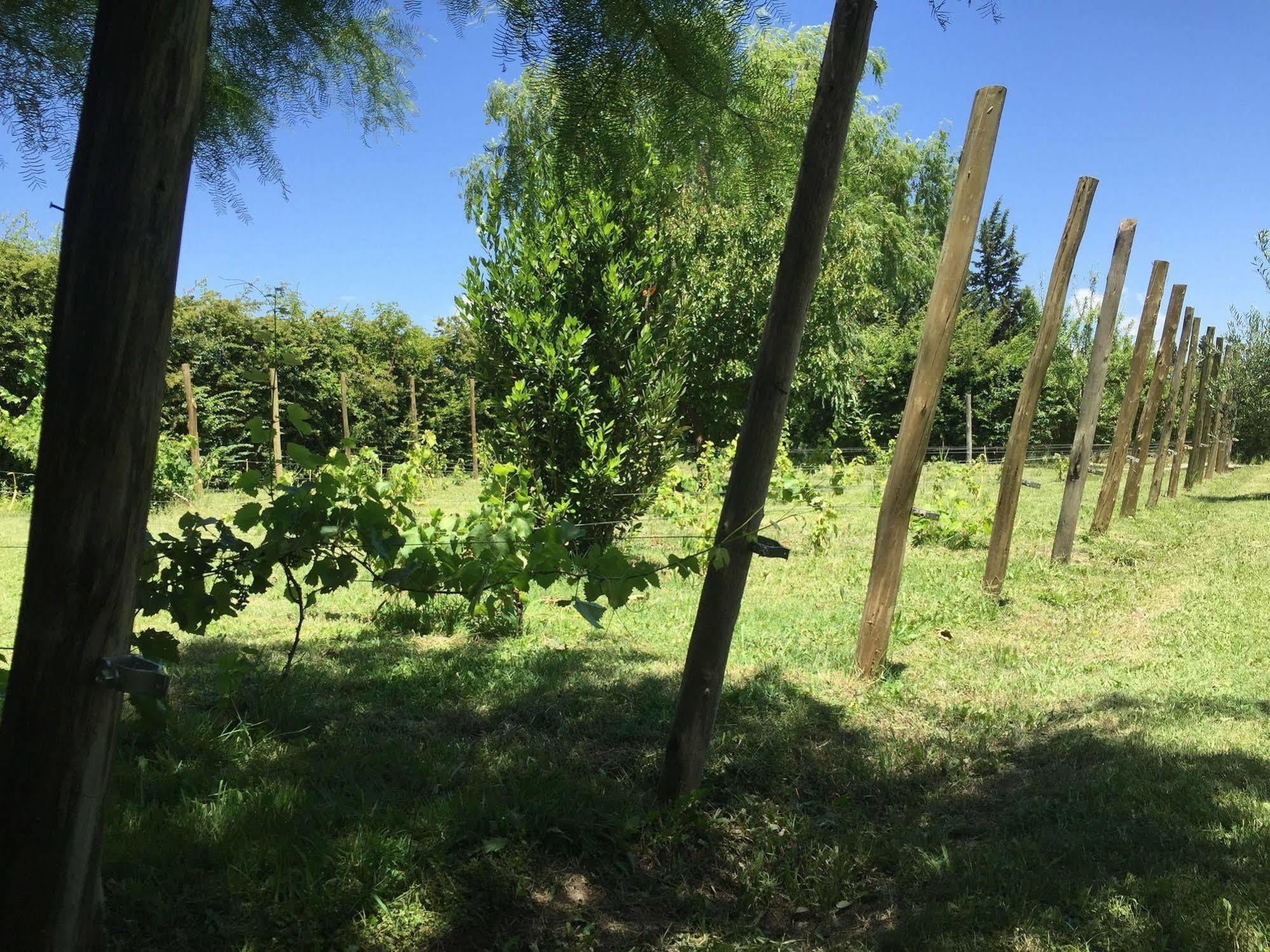 Tikaykilla Lodge & Wines Maipu  Bagian luar foto
