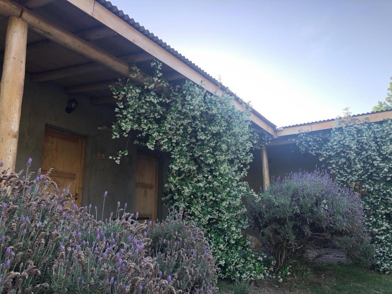 Tikaykilla Lodge & Wines Maipu  Bagian luar foto