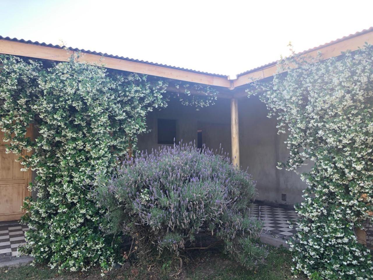 Tikaykilla Lodge & Wines Maipu  Bagian luar foto